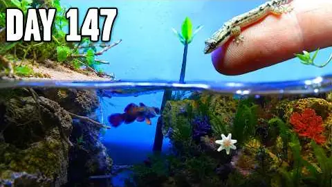 Leafy Street for The Wet Spot Tropical Fish, 16,873,382 views